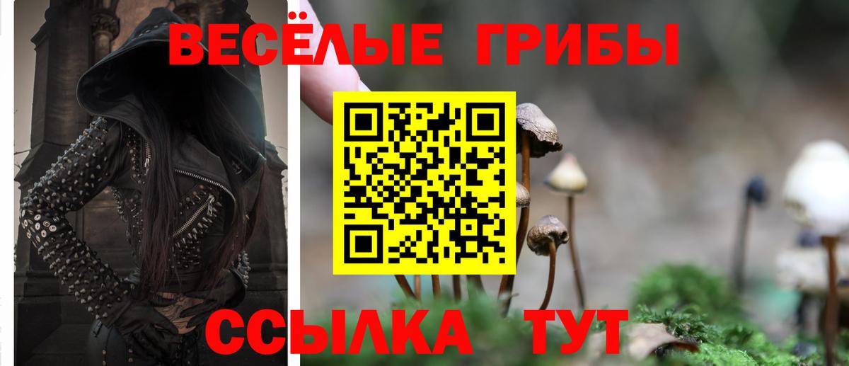 Галлюциногенные грибы мицелий  Галлюциногенные грибы Magic Shrooms  Вход с VPN  Звенигород 